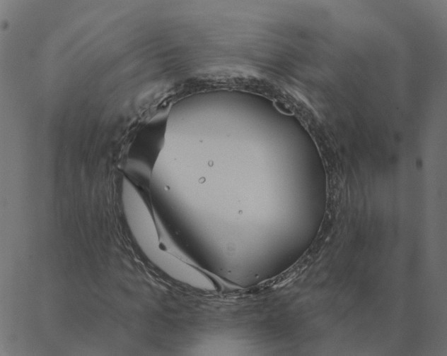 X0000087380965200705181238