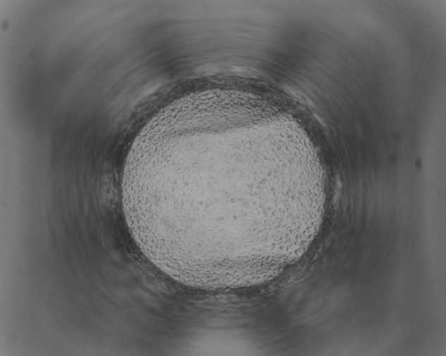 X0000087380966200705181238