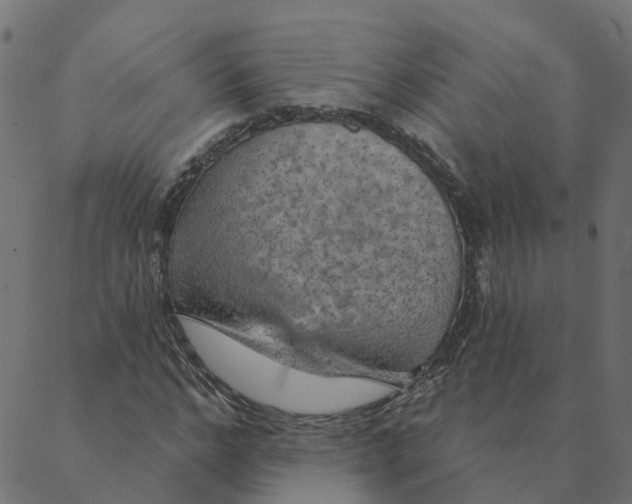 X0000087380968200705181238