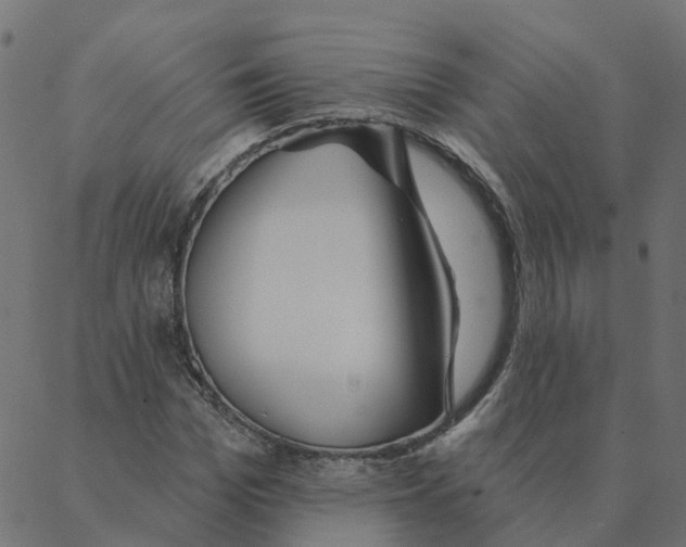 X0000087380969200705181238