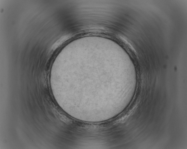 X0000087380970200705181238