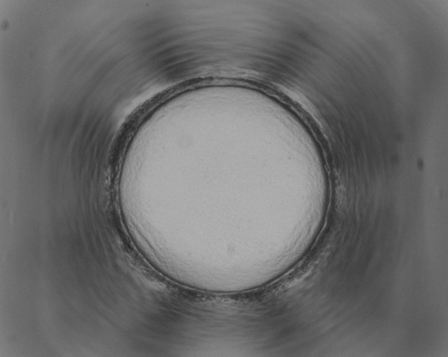 X0000087380971200705181238