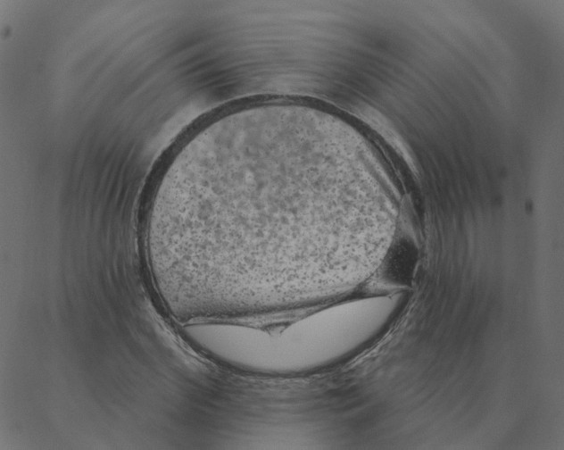 X0000087380972200705181238