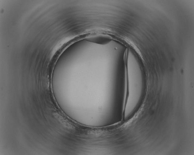 X0000087380973200705181238