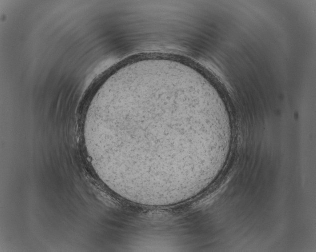 X0000087380974200705181238