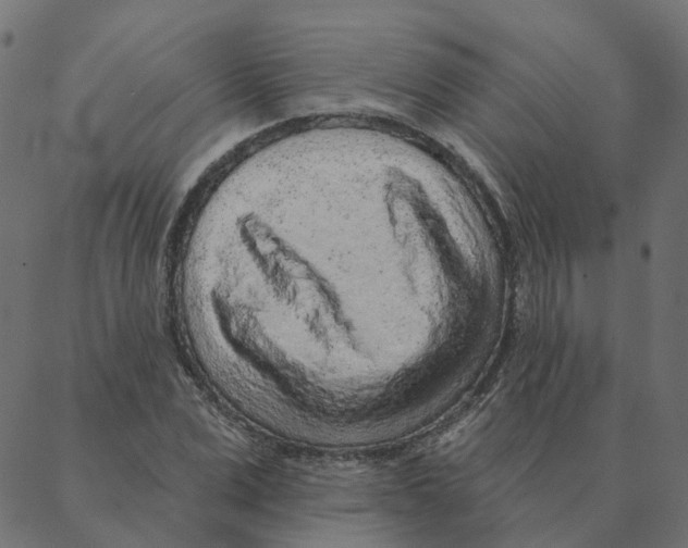 X0000087380975200705181238