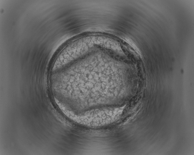 X0000087380976200705181238