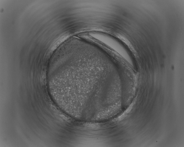 X0000087380977200705181238