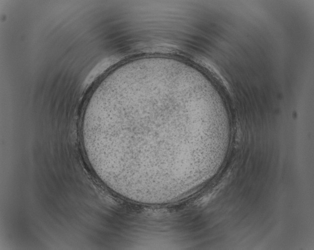 X0000087380978200705181238