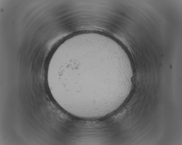 X0000087380979200705181238