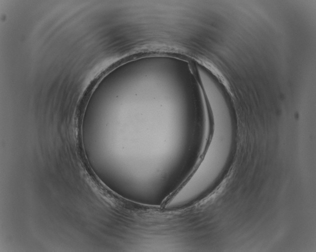 X0000087380981200705181238