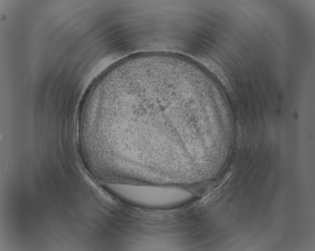 X0000087380982200705181238