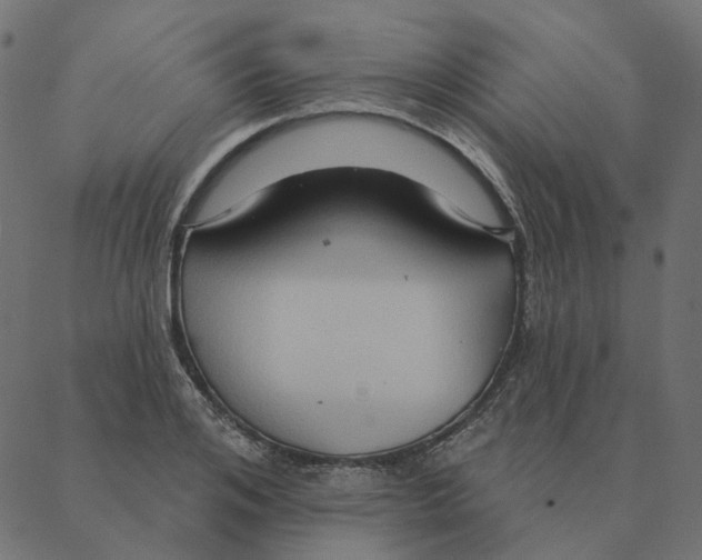 X0000087380984200705181238