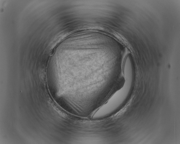 X0000087380985200705181238