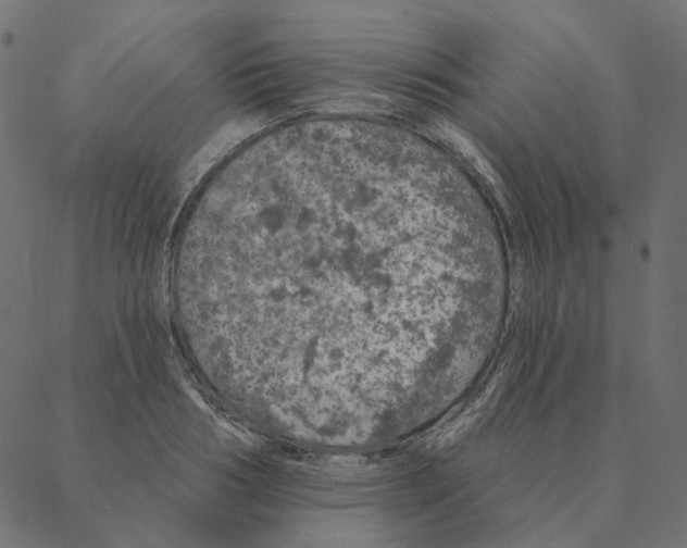 X0000087380986200705181238