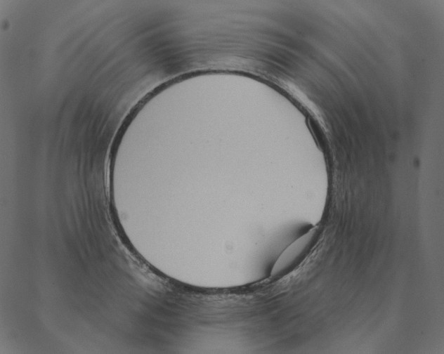 X0000087380988200705181238