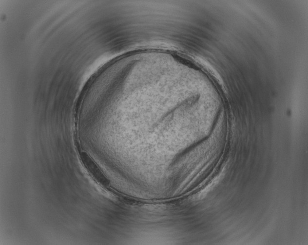 X0000087380989200705181238