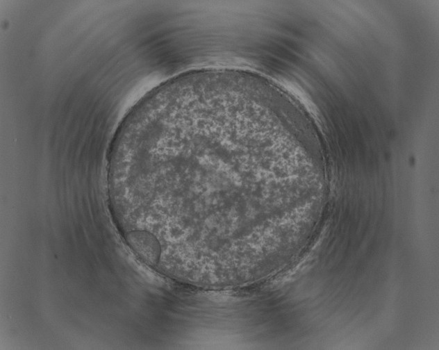 X0000087380990200705181238