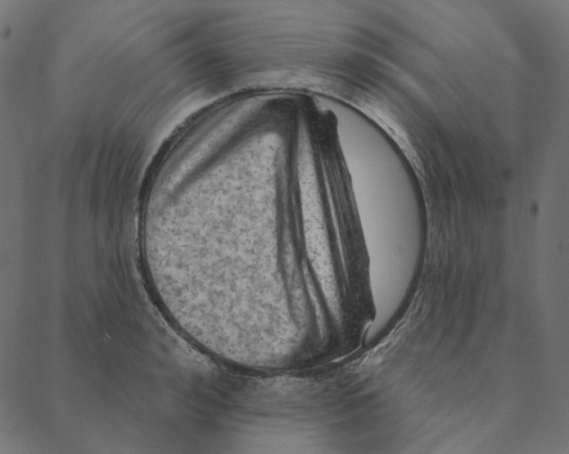 X0000087380992200705181238