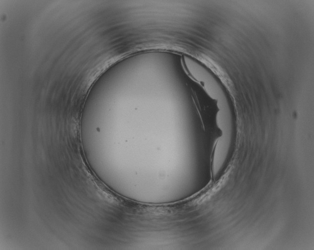 X0000087380993200705181238