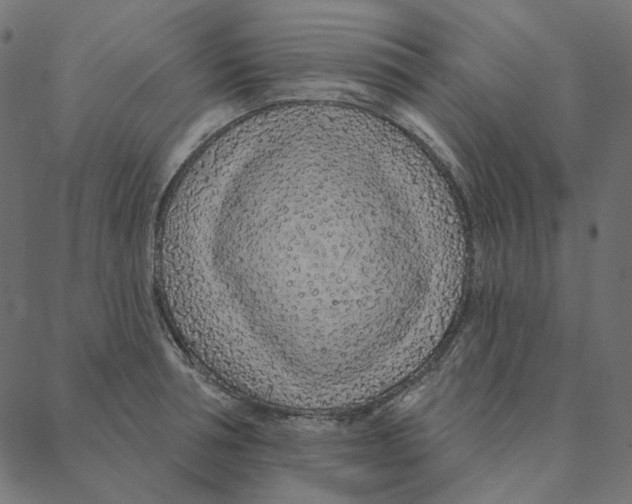 X0000087380994200705181238