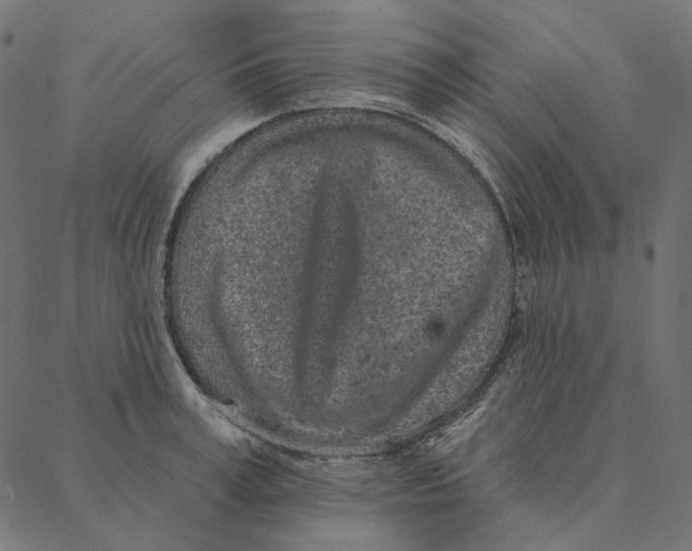 X0000087380995200705181238