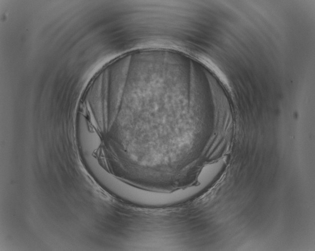 X0000087380996200705181238