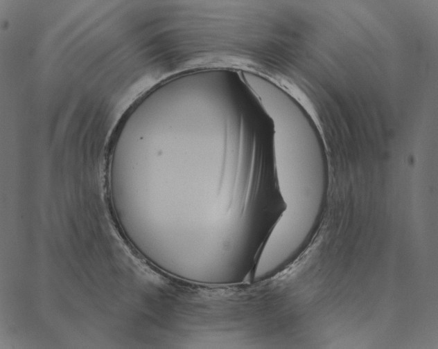 X0000087380997200705181238