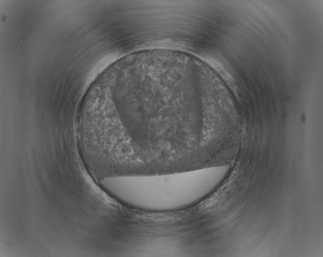 X0000087380998200705181237