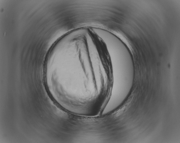 X0000087380999200705181237