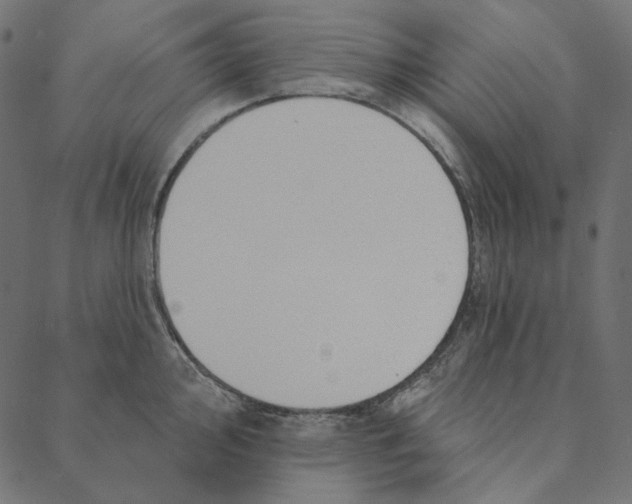 X0000087381000200705181237