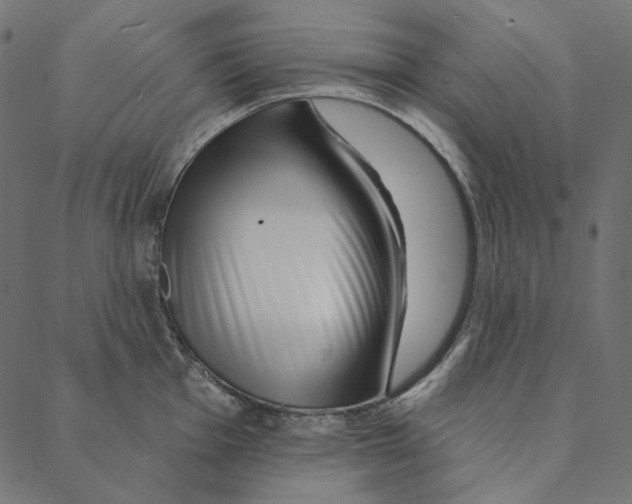 X0000087381001200705181237