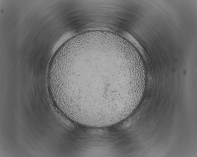 X0000087381002200705181237