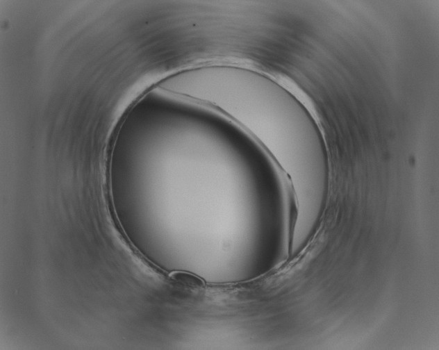 X0000087381005200705181237