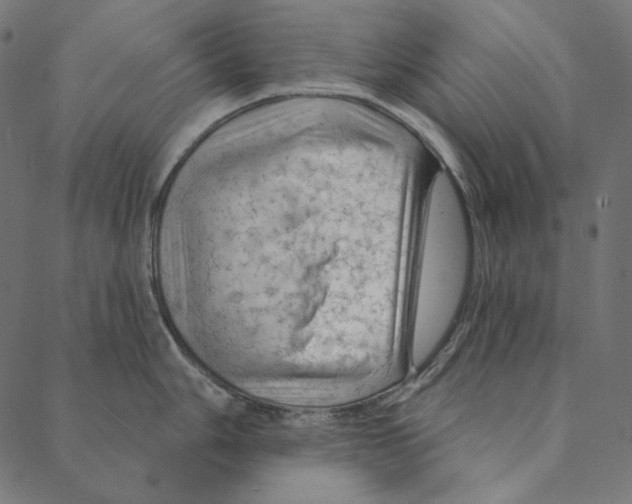 X0000087381006200705181237