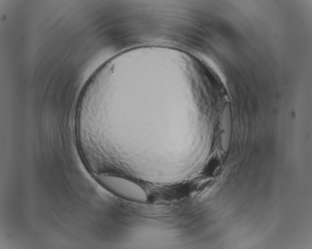 X0000087381007200705181237