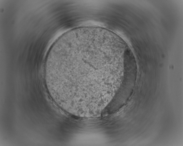 X0000087381008200705181237