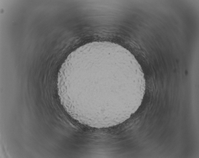 X0000087381009200705181237