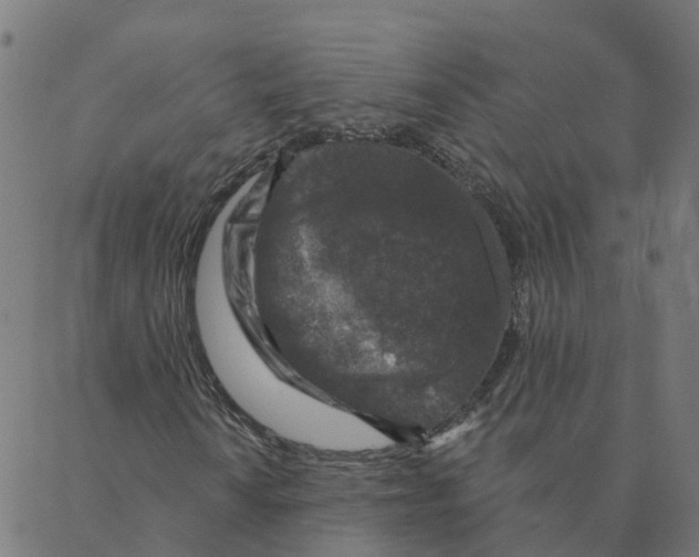 X0000087381010200705181237