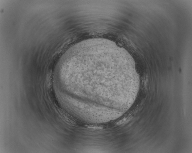 X0000087381012200705181237