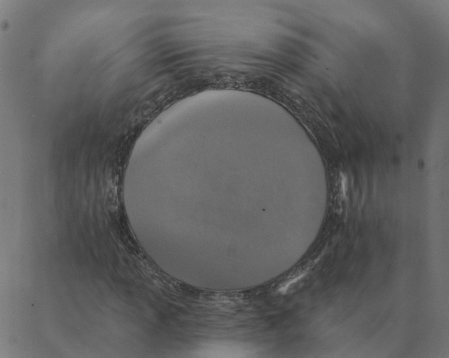 X0000087381013200705181237