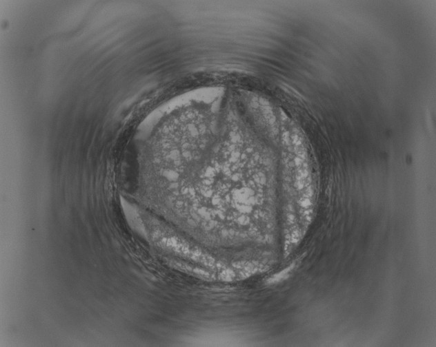 X0000087381014200705181237