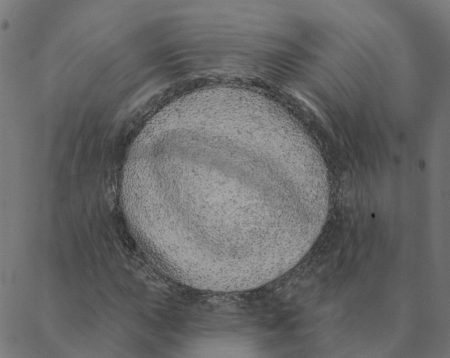 X0000087381015200705181237