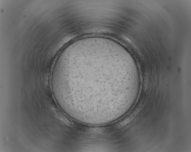 X0000087381017200705181237