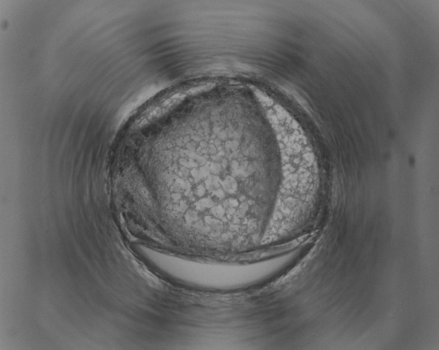 X0000087381018200705181237