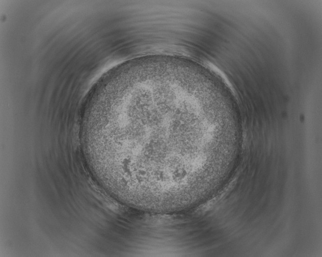 X0000087381019200705181237