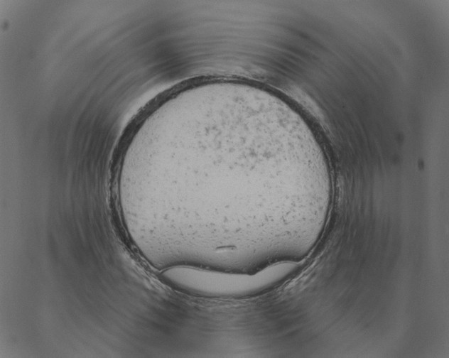 X0000087381020200705181237