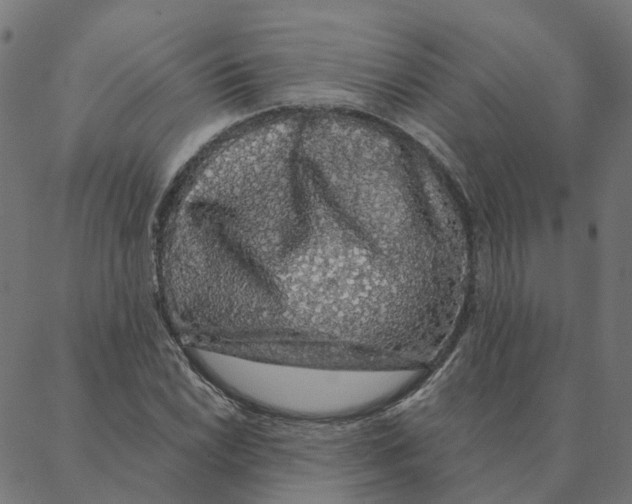 X0000087381022200705181237