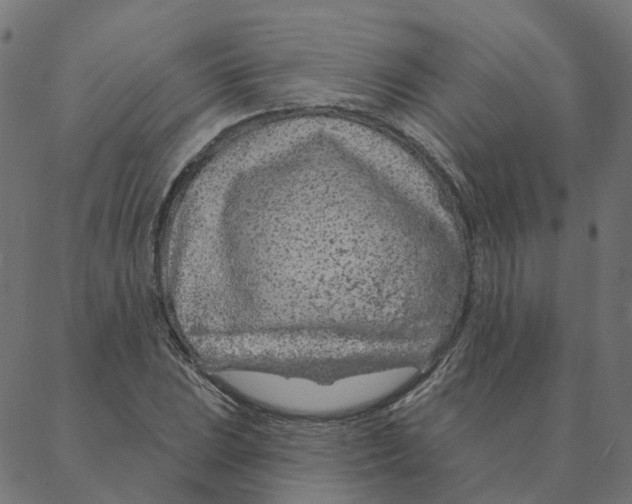 X0000087381023200705181237