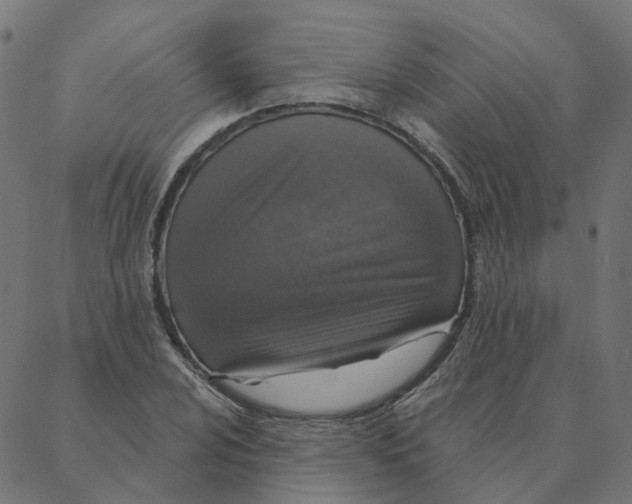 X0000087381024200705181237